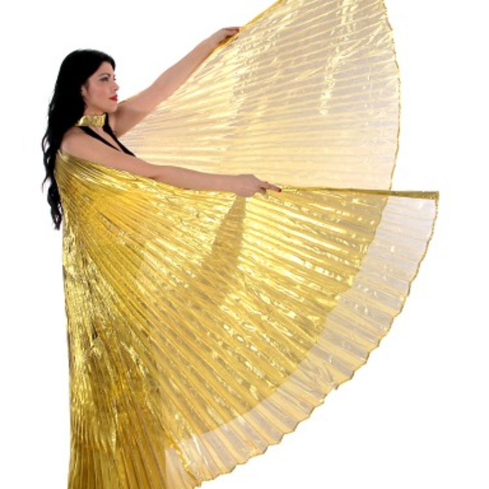 Gold Winged Dance Costume